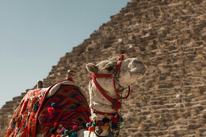 Complete Giza Adventure: Pyramids, Camel Ride, Desert ATV & Nile Dinner Cruise photo 6