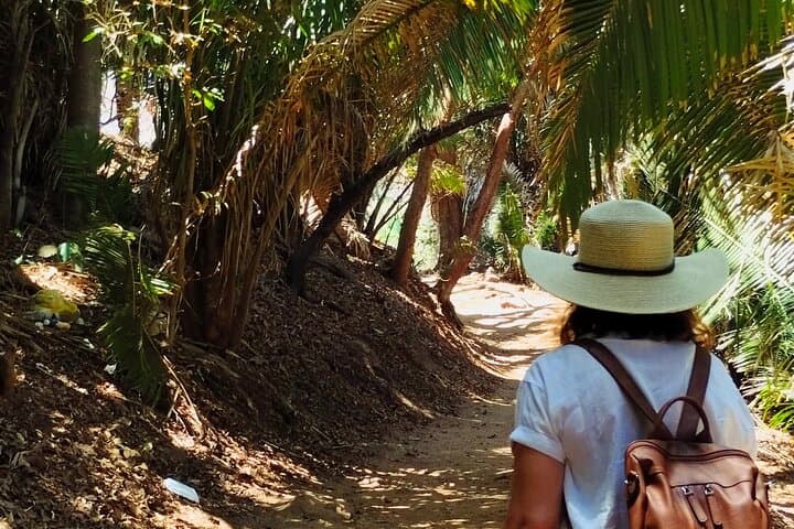 Hidden Gems of Nayarit: Private Coastal Escape to Lo de Marcos, Los Ayala & Guayabitos photo 4