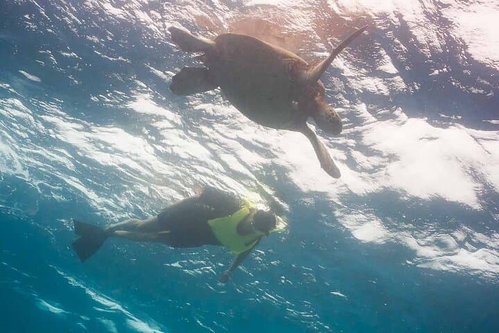 Snorkel with Turtles in Maunalua Bay — Small-Boat Honolulu Tour photo 3