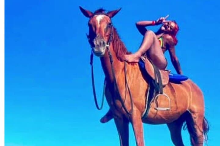 Ocho Rios Horseback Riding, ATV & Blue Hole Adventure photo 2