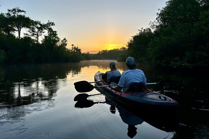 Private Guided Everglades Kayak Tour: Wildlife Immersion at Sunset and Night