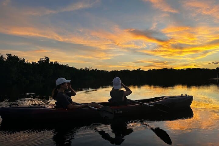 Private Guided Everglades Kayak Tour: Wildlife Immersion at Sunset and Night photo 4