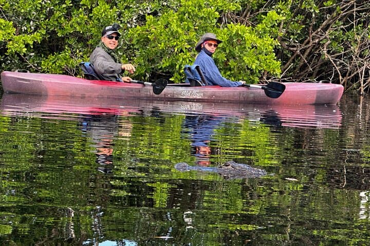 Private Guided Everglades Kayak Tour: Wildlife Immersion at Sunset and Night photo 5
