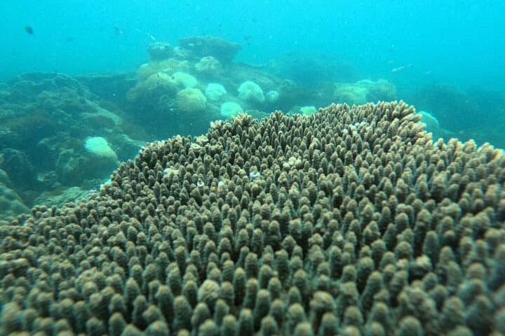 Phu Quoc Island Hopping: Snorkel the An Thoi Archipelago and Ride Hon Thom Cable Car