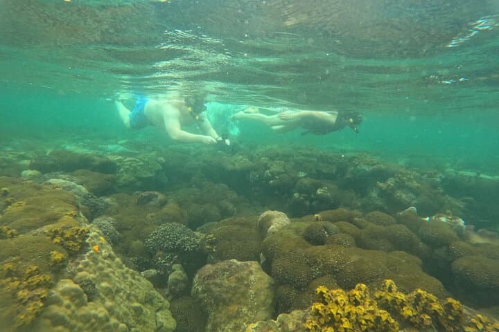 Phu Quoc Island Hopping: Snorkel the An Thoi Archipelago and Ride Hon Thom Cable Car photo 4