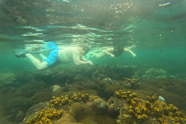 Phu Quoc Snorkeling & Island-Hopping Speedboat Tour with Lunch photo 3
