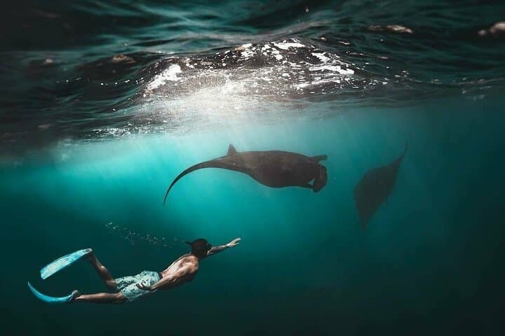 Nusa Penida Snorkeling & Island Highlights — Mantas, Kelingking and Angel's Billabong photo 2