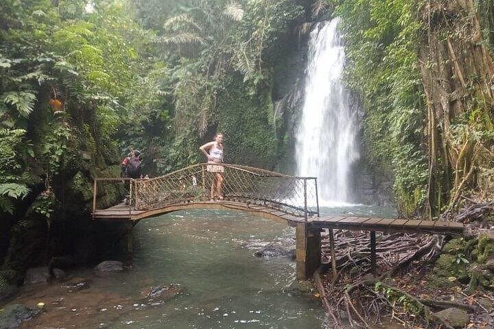 Ubud Day Tour: Tirta Empul, Tegalalang Rice Terrace & Waterfall photo 3