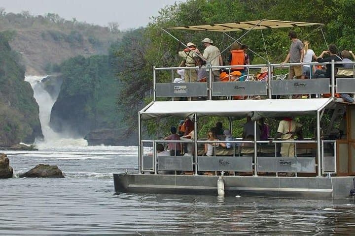 Ultimate Natural Wonders of Uganda: 14-Day Gorilla Trek & Classic Safari photo 1