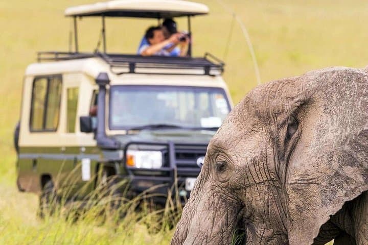 Ultimate Natural Wonders of Uganda: 14-Day Gorilla Trek & Classic Safari photo 3
