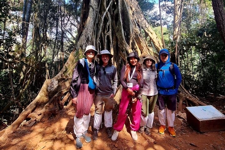 Haew Suwat Waterfall & KM 33 Jungle Hike — Full-Day Khao Yai Adventure from Bangkok