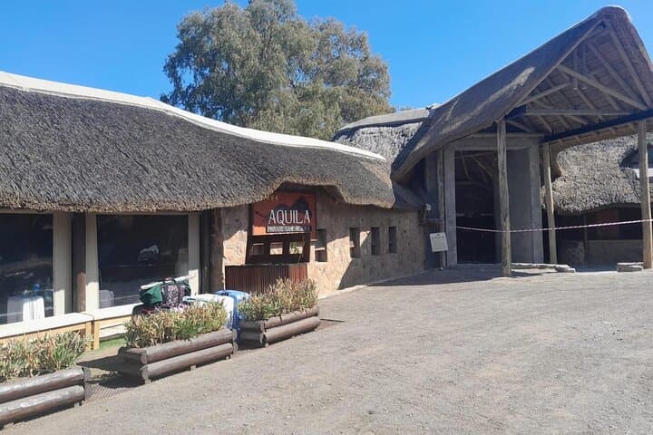 Cape Big Five Safari and Western Cape Wine Tasting from Cape Town photo 5