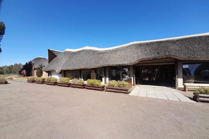 Cape Big Five Safari and Western Cape Wine Tasting from Cape Town photo 6
