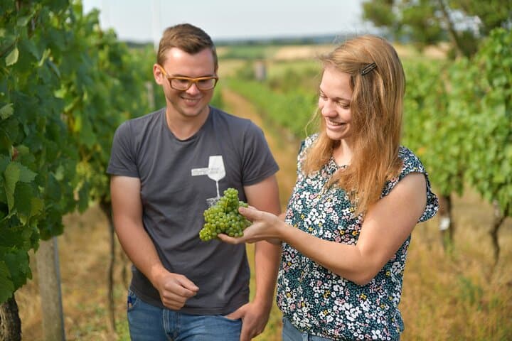 Vineyard Hike & Wine Tasting in Hohenruppersdorf — Historic Pfalz Cellar Experience photo 5