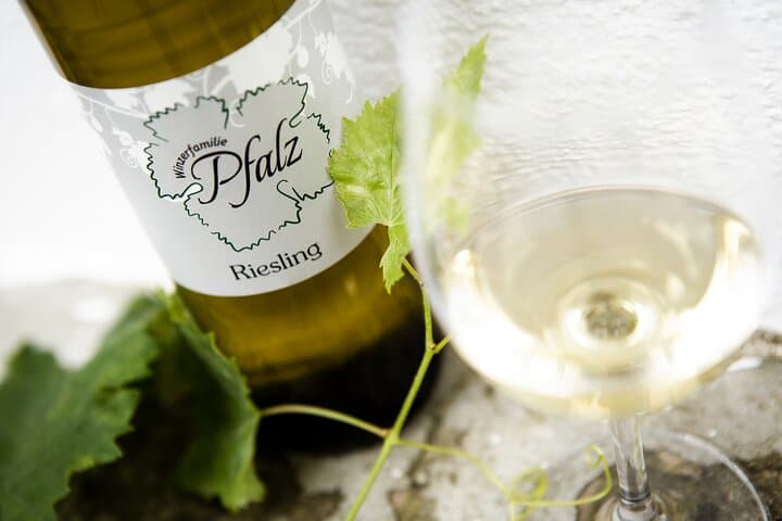 Vineyard Hike & Wine Tasting in Hohenruppersdorf — Historic Pfalz Cellar Experience photo 6
