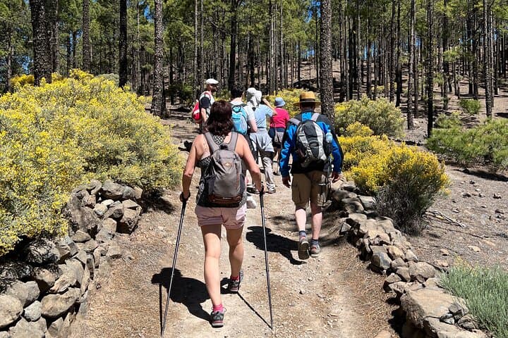 Hike Roque Nublo: Gran Canaria's Iconic Monolith and Central Cumbre Trek photo 6