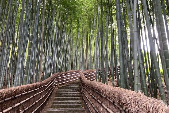 Custom Private Kyoto Tour: Expert Local Guide for Half- or Full-Day Exploration photo 3