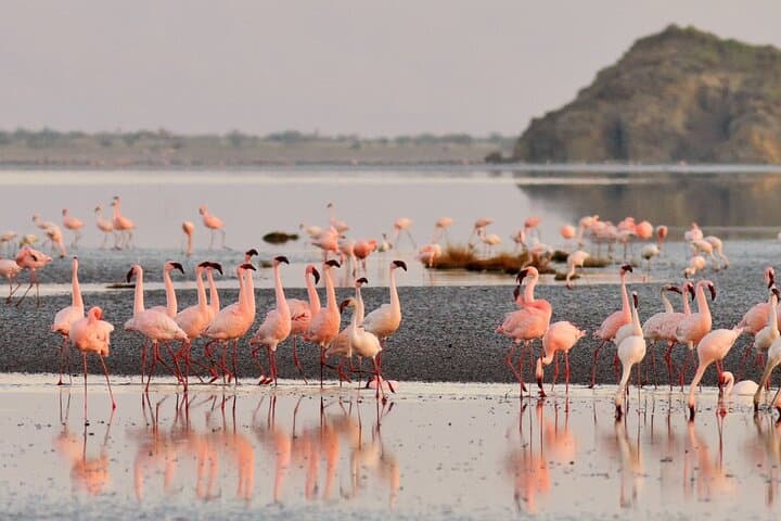 Day Trip to Lake Eyasi: Meet the Hadzabe & Datoga on a 4WD Cultural Safari photo 3
