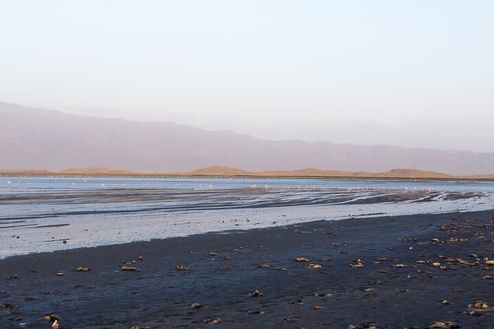 Lake Natron & Ol Doinyo Lengai: 2-Day Volcanic Hike, Flamingos & Maasai Culture photo 3