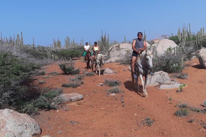 Aruba Hidden Lagoon Horseback Ride: Family-Friendly Cunucu Trail photo 6