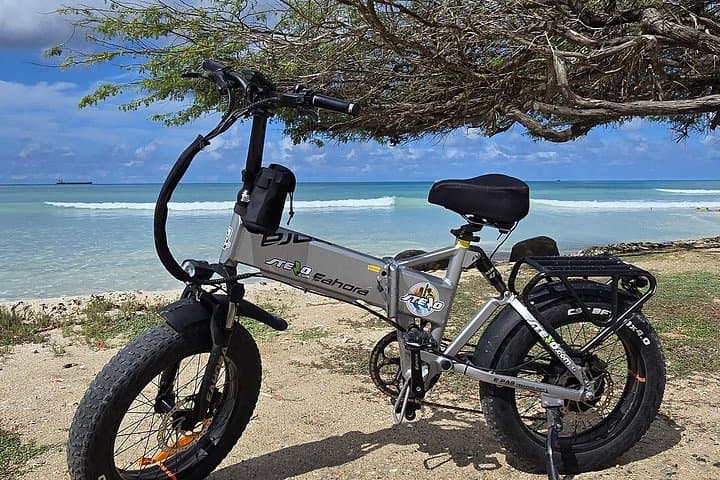 Coastal E-Bike Ride to California Lighthouse — Malmok & Arashi from Palm Beach Aruba photo 4