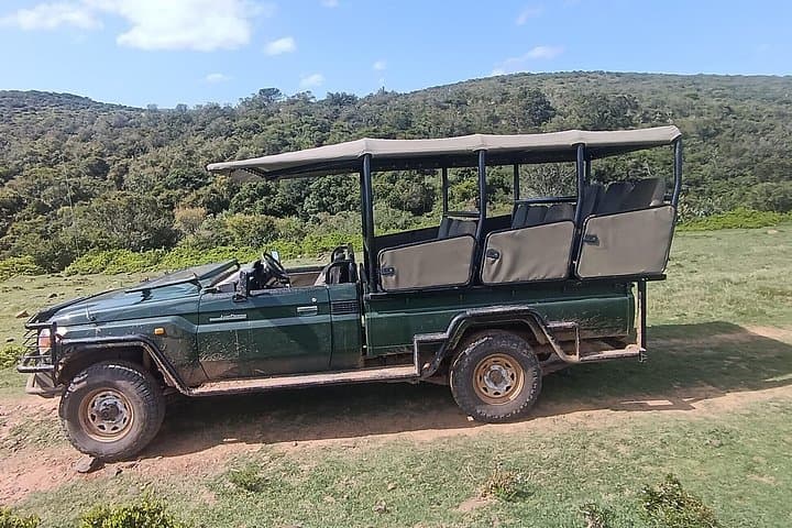 Addo Elephant Park & Giraffe Walk Tracking Safari from Port Elizabeth photo 6