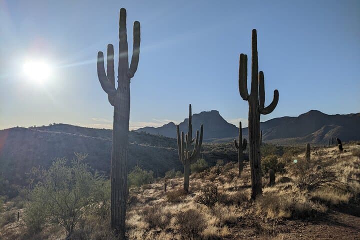 Copper Mile Desert Hike: Wild Horses & Abandoned Mine near Saguaro Lake