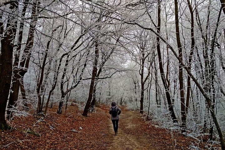 Buda Hills Hike: 4-Hour Guided Walk from Budapest Metro photo 3