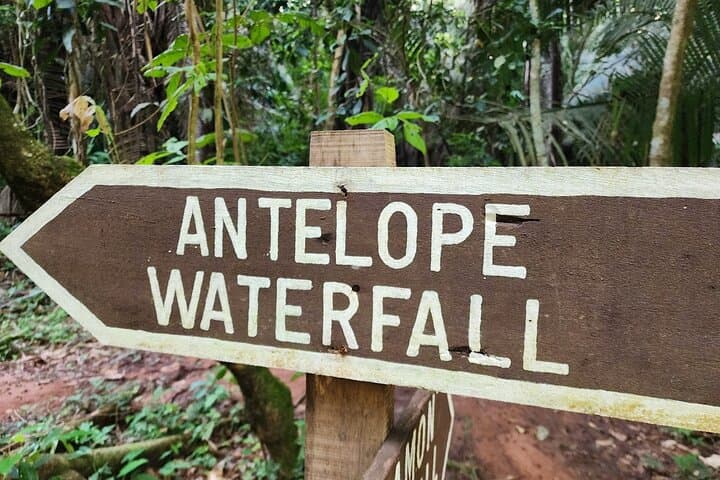 Antelope Falls Hike Bocawina National Park Guided Trek from Hopkins photo 2
