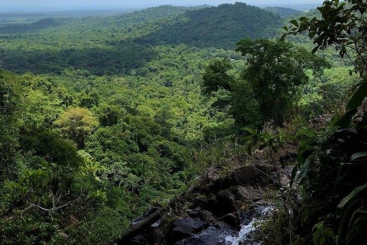 Antelope Falls Hike Bocawina National Park Guided Trek from Hopkins photo 4