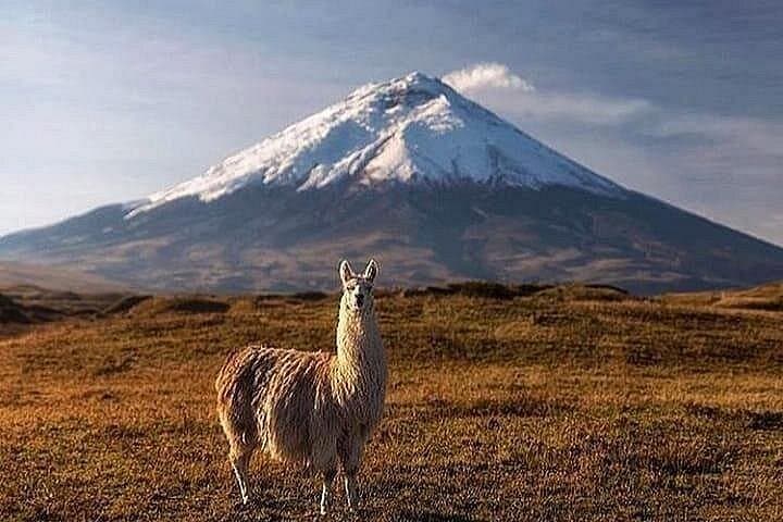 Ecuador Volcanoes Adventure: Climb Rucu Pichincha, Cayambe & Chimborazo