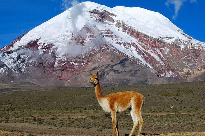Ecuador Volcanoes Adventure: Climb Rucu Pichincha, Cayambe & Chimborazo photo 2
