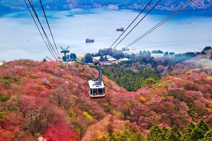 Private Day Tour to Hakone & Gotemba — Mt. Fuji, Lake Ashi, Owakudani and Outlets photo 5
