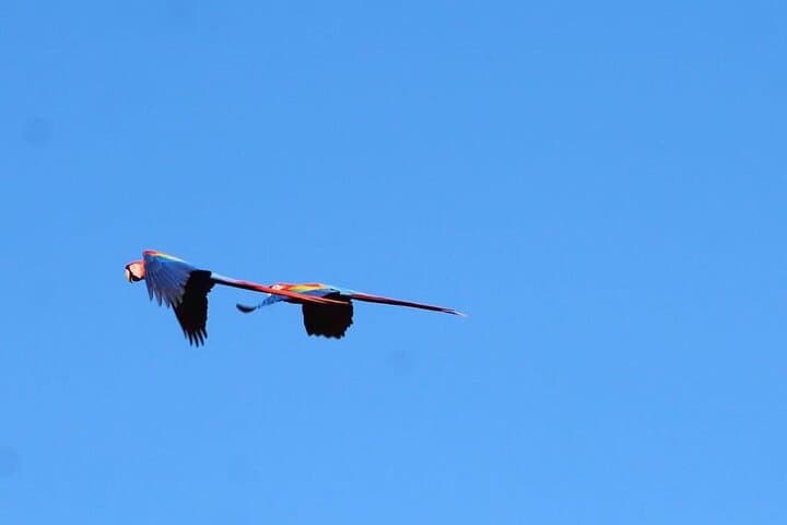 Guided Naturalist Walk in Curu Wildlife Refuge — Paquera Costa Rica Nature Tour photo 5