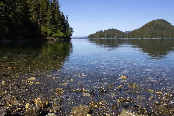 Guided Beaver Lake Hike in Sitka — Alaskan Wilderness Trail photo 2