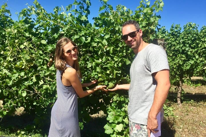 Margaret River Beer & Wine Adventure — Winery Lunch, Wine Blending & Brewery Visit photo 3