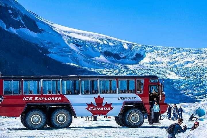 Columbia Icefield, Skywalk & Peyto Lake: Full-Day Icefields Parkway Tour from Calgary photo 1