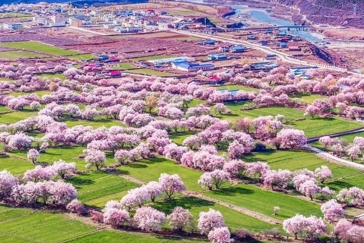 Nyingchi Peach Blossom Festival: 13-Day Tibet Spring Bloom & Everest Base Camp Adventure