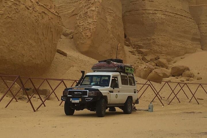 Day Trip to Fayoum Oasis & Wadi Al Hitan — Private Tour from Cairo photo 4