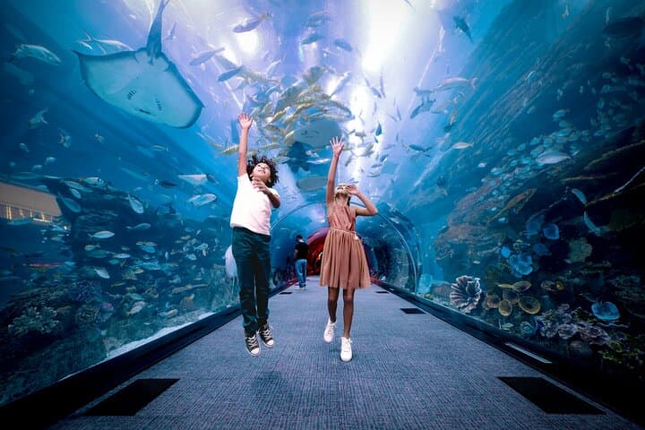 Burj Khalifa At The Top & Dubai Aquarium Combo Tickets — Observation Deck and Aquarium Guide photo 5