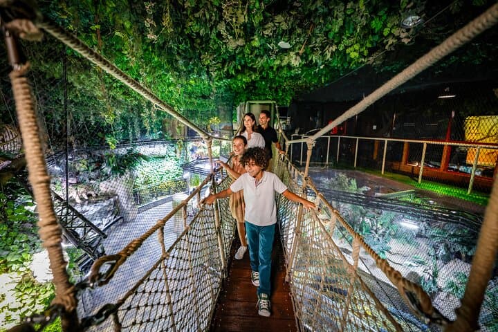 Burj Khalifa At The Top & Dubai Aquarium Combo Tickets — Observation Deck and Aquarium Guide photo 6