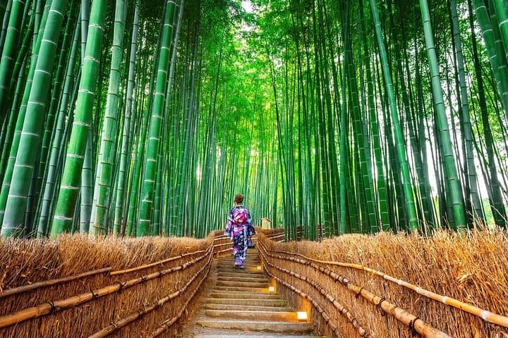 Arashiyama Autumn Leaves & Sagano Train: Sanzen-in Temple Full-Day Tour
