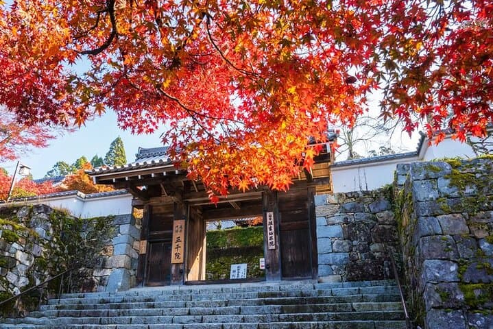 Arashiyama Autumn Leaves & Sagano Train: Sanzen-in Temple Full-Day Tour photo 2