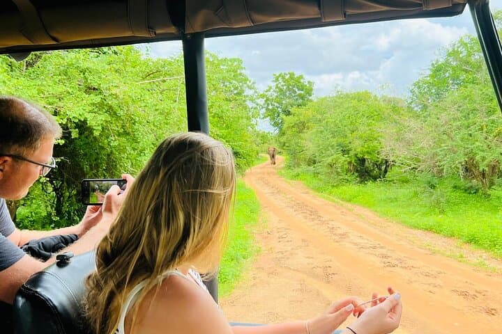 Yala National Park Safari — Half & Full‑Day Jeep Tours to Spot Leopards photo 6