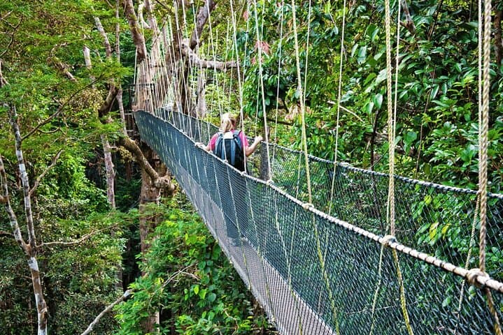 Taman Negara Day Trip from Kuala Lumpur: Canopy Walk, Orang Asli Village & Rainforest Wildlife photo 3