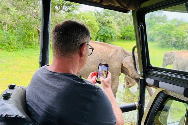 Yala National Park Safari — Half & Full‑Day Jeep Tours to Spot Leopards photo 4
