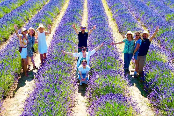 Provence Lavender Fields Tour from Aix-en-Provence — Valensole & Sault Day Trip photo 3