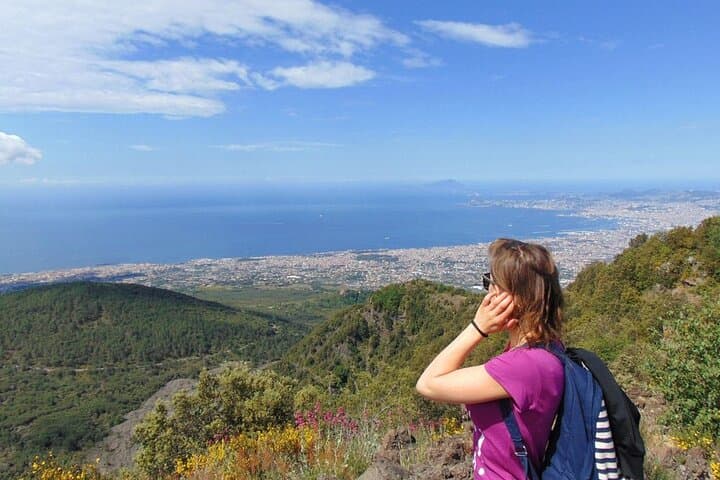 Pompeii and Mount Vesuvius Private Day Tour from Rome — Full-Day Guided Visit photo 2