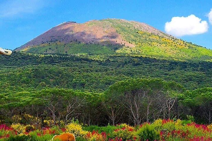 Pompeii and Mount Vesuvius Private Day Tour from Rome — Full-Day Guided Visit photo 5