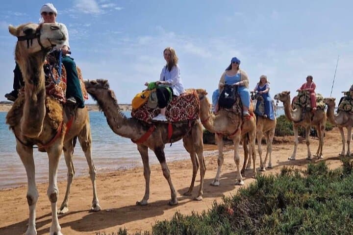 Sunset Camel Ride on the Souss River: Agadir Camel Trek with Mint Tea & Moroccan Cakes photo 2